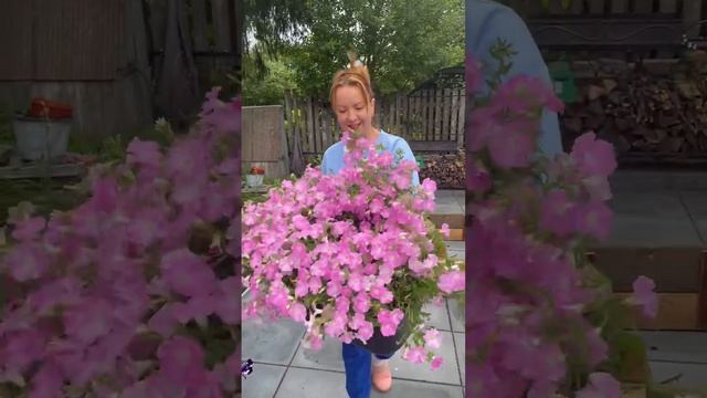 Встречайте Альбертина ❤️