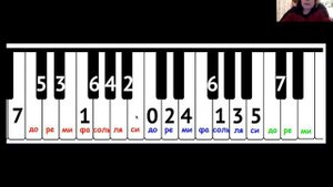 Квинтовый круг за 5 минут