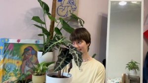 Обзор новых растений ★ Как подросли мои другие растения ★ Как я избавлялась от многоножек