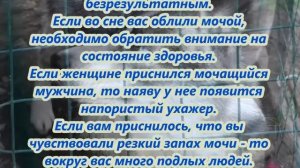 К чему снится моча