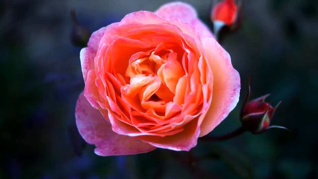 Хорошие песни и фото 2015 смотреть онлайн