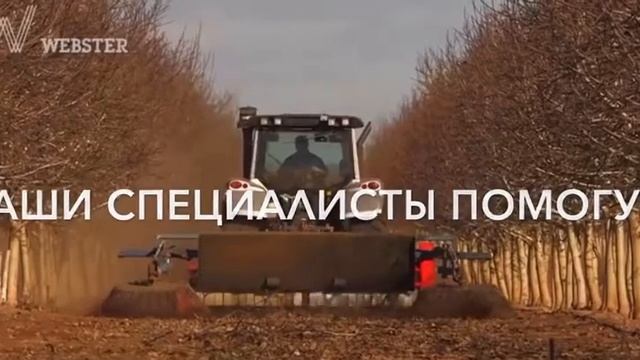 Обрезка грецкого ореха смотреть онлайн