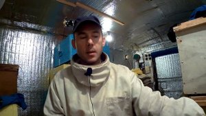 Эндовираза. Вирусов больше нет.