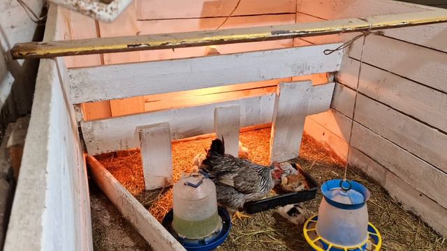 это всё сделано у вас на виду! смотреть онлайн