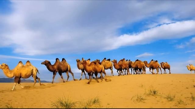 ?ВПЕРВЫЕ на YouTube ? ЖЕНА МИССИОНЕРА-2 ? Христианские рассказы. Истории из жизни. смотреть онлайн