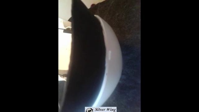 Изготовление брызговика на переднее крыло для Silver Wing.