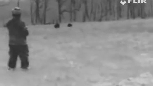 Thermal Hog Hunt 2 17 2013 смотреть онлайн