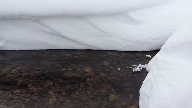 Ручей Поварница Республика Коми Интинский район смотреть онлайн