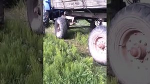 Т-40АМ вывоз сена на гору