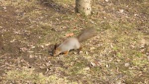 В доме отдыха " Березки".