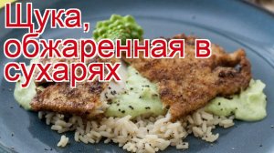 Рецепты из щуку - как приготовить щуку пошаговый рецепт - Щука, обжаренная в сухарях за 15 минут