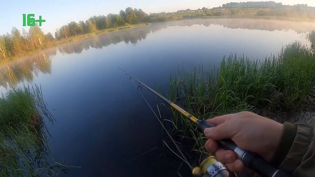 Рыбалка на спиннинг на щуку в июне на реке Аять. Перемонтаж силикона easy shiner.