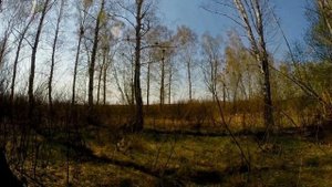 Воздушка мр 512 охота