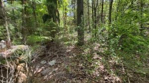 Corrupt Landlords Abandoned Log Cabins In The Woods l HE FLED THE COUNTRY