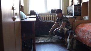 БЕРЕМЕННОСТЬ СОБАКИ//ПОДГОТОВКА МЕСТА