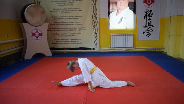 1 урок по Карате киокушинкай смотреть онлайн
