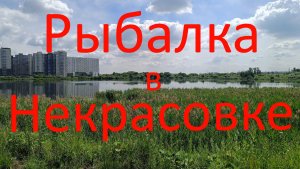 Рыбалка в Некрасовке.  г. Москва. Озеро Черное (Бедренское) и озеро Щучка (Щучье).15.06.2024.