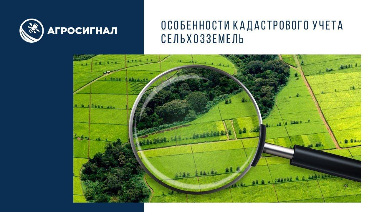 Особенности кадастрового учета сельхозземель