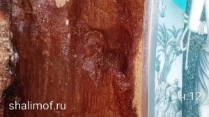 Святой Николай Новый из Вунен. Храм в Вуненах ч.12