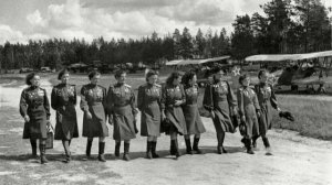 Песня "Мы друзья перелётные птицы"