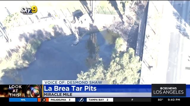 Look At This: La Brea Tar Pits смотреть онлайн