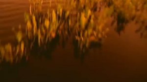 LUNA SEA - 「I for You」MV