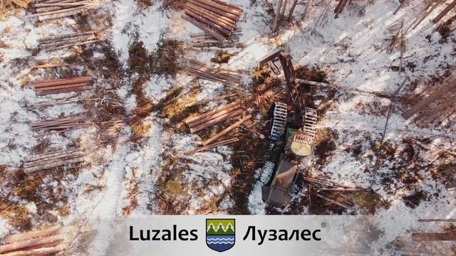Машинист лесозаготовительной машины