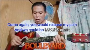 Boulevard (Dan Byrd) with lyrics MiBaCaNogNog Cover