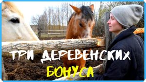 3 крутых деревенских бонуса. У лошадей нет сена, поехали искать у кого что осталось под крышей