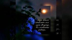 "На тебе сошёлся клином белый свет"