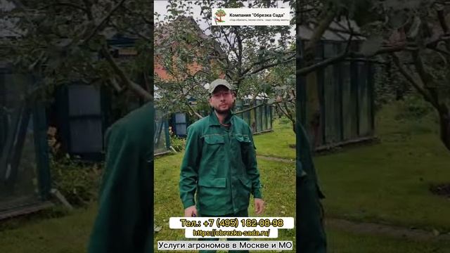 Заказать обрезку плодовых деревьев по акции! Услуги агрономов. Записаться на выезд по т. 84956695223