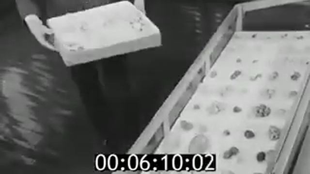 ЙОШКАР-ОЛА МарГУ смотреть онлайн