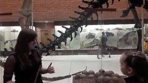 Палеонтологический музей г. Москва