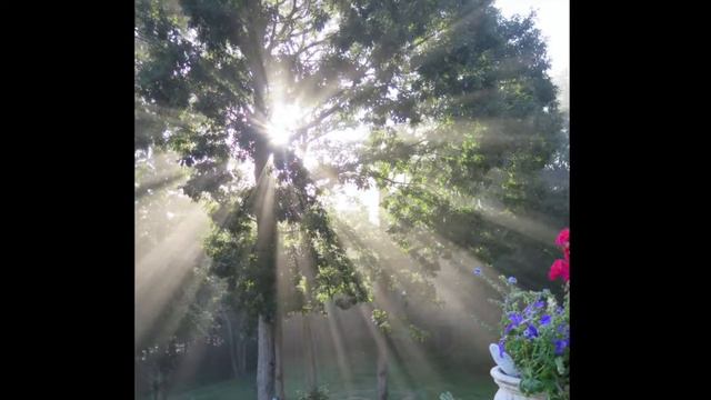 Caro Vista Paradise Gardens 2020 By R L Frost смотреть онлайн