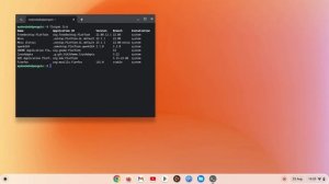 ChromeOS | Linux Development Environment | Update a single application in Flatpak