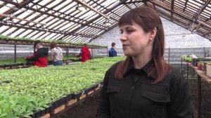 Это моя профессия: Механизаторы.