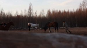 Влог худрука - Евгения Ткачука # 4 Театр «ВелесО». День N
