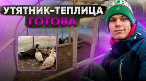 Впечатление от Перепелов | Семьи уток готовы к Весне ! Праздник первого яйца С Новосельем