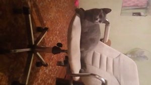 Детка ты просто космос 😈😇☺