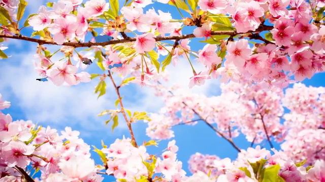 Ты приходи скорее смотреть онлайн