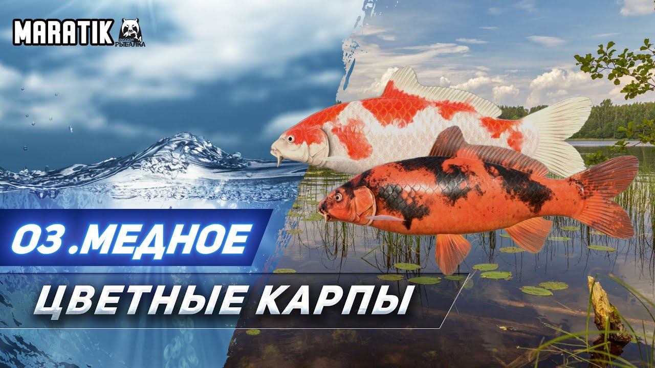 ЧЕ ПО ФАРМУ? Проверка Медного ● оз .Медное ● ФАРМ ● Русская Рыбалка 4