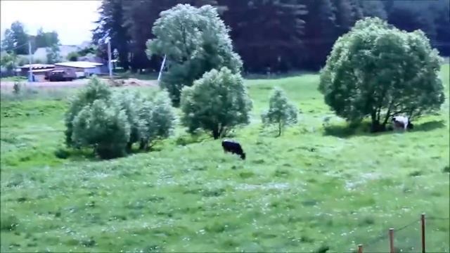 Главарь мафии отдыхает на даче смотреть онлайн