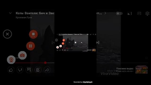 песня бича, коты воители ( свирепый кабан) смотреть онлайн