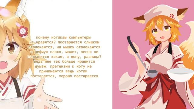 Почему котикам компьютеры