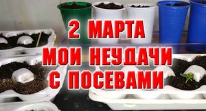 МОИ НЕУДАЧИ С ПОСЕВАМИ