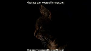 Музыка (Подчеркнутые кошки)