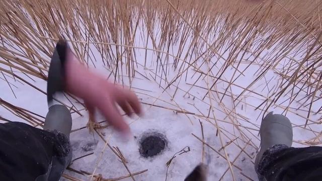 Ладога. Шальдиха. Первый лёд. смотреть онлайн