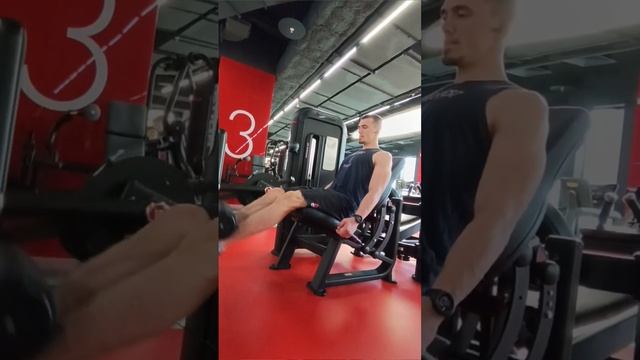 Пиковое сокращение квадрицепса? #тренировканог #квадрицепс #legsworkout #деньног