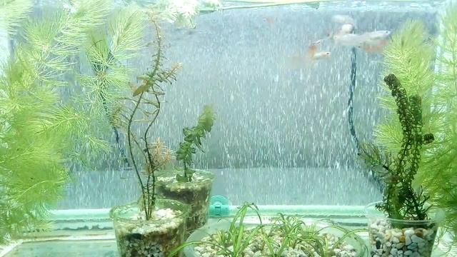 Распылитель-шторка воздуха смотреть онлайн