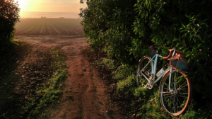 Лето на велосипеде